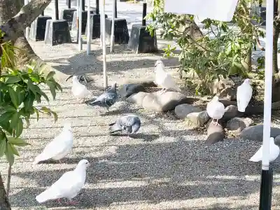 旗上弁財天社の{uncategorized: "未分類", other: "その他", undefined: "問題あり", building: "その他建物", grave: "お墓", sacred_gate: "鳥居", guardian: "狛犬", statue: "像", buddha: "仏像", history: "歴史", nature: "自然", garden: "庭園", animal: "動物", pagoda: "塔", temizu: "手水舎", mountain_gate: "山門・神門", sanctuary: "本殿・本堂", subordinate: "末社・摂社", art: "芸術", scenery: "景色", jizo: "地蔵", ema: "絵馬", goshuin: "御朱印", omikuji: "おみくじ", items: "授与品その他", amulet: "お守り", goshuincho: "御朱印帳", eats: "食事", festival: "お祭り", votive_dance: "神楽", shichigosan: "七五三参", wedding: "結婚式", experience: "体験その他", initially: "初詣", around: "周辺", anti_infection: "感染症対策"}
