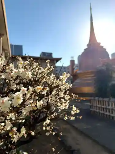 福王山  慈眼寺(東京都)
