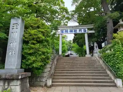 玉川神社の{uncategorized: "未分類", other: "その他", undefined: "問題あり", building: "その他建物", grave: "お墓", sacred_gate: "鳥居", guardian: "狛犬", statue: "像", buddha: "仏像", history: "歴史", nature: "自然", garden: "庭園", animal: "動物", pagoda: "塔", temizu: "手水舎", mountain_gate: "山門・神門", sanctuary: "本殿・本堂", subordinate: "末社・摂社", art: "芸術", scenery: "景色", jizo: "地蔵", ema: "絵馬", goshuin: "御朱印", omikuji: "おみくじ", items: "授与品その他", amulet: "お守り", goshuincho: "御朱印帳", eats: "食事", festival: "お祭り", votive_dance: "神楽", shichigosan: "七五三参", wedding: "結婚式", experience: "体験その他", initially: "初詣", around: "周辺", anti_infection: "感染症対策"}