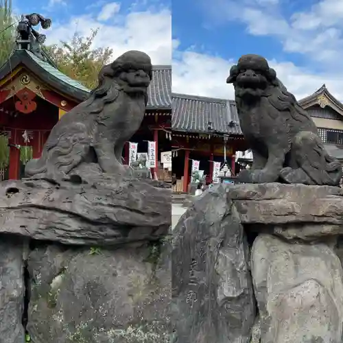 浅草神社の狛犬