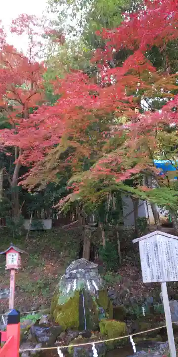 出雲大神宮のその他建物