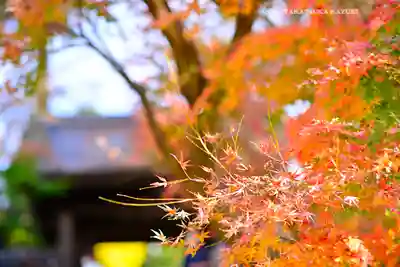 円覚寺(神奈川県)