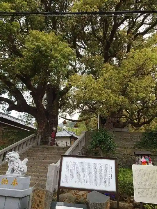 山王神社の自然