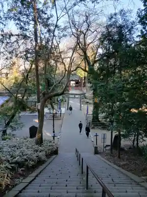 仙波東照宮の{uncategorized: "未分類", other: "その他", undefined: "問題あり", building: "その他建物", grave: "お墓", sacred_gate: "鳥居", guardian: "狛犬", statue: "像", buddha: "仏像", history: "歴史", nature: "自然", garden: "庭園", animal: "動物", pagoda: "塔", temizu: "手水舎", mountain_gate: "山門・神門", sanctuary: "本殿・本堂", subordinate: "末社・摂社", art: "芸術", scenery: "景色", jizo: "地蔵", ema: "絵馬", goshuin: "御朱印", omikuji: "おみくじ", items: "授与品その他", amulet: "お守り", goshuincho: "御朱印帳", eats: "食事", festival: "お祭り", votive_dance: "神楽", shichigosan: "七五三参", wedding: "結婚式", experience: "体験その他", initially: "初詣", around: "周辺", anti_infection: "感染症対策"}