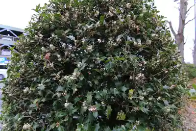 愛宕神社の周辺