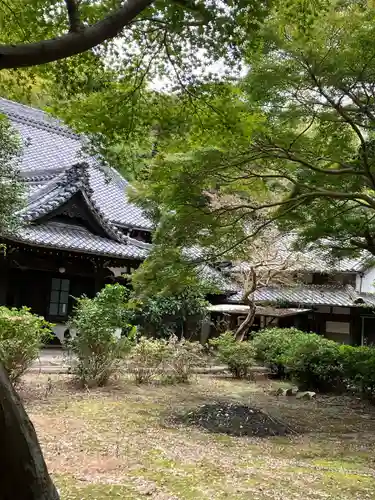高讃寺(愛知県)