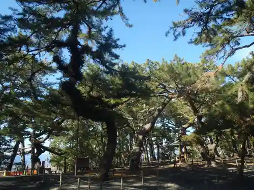 御穂神社(静岡県)