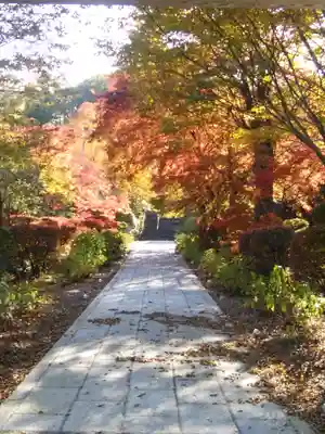 陽林寺(福島県)