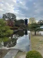 東寺（教王護国寺）の庭園