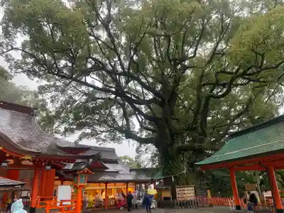 熊野那智大社(和歌山県)
