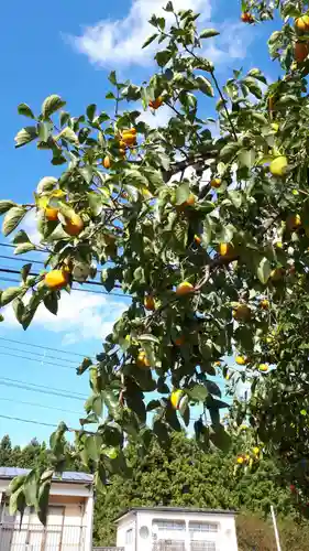 秋保神社の自然