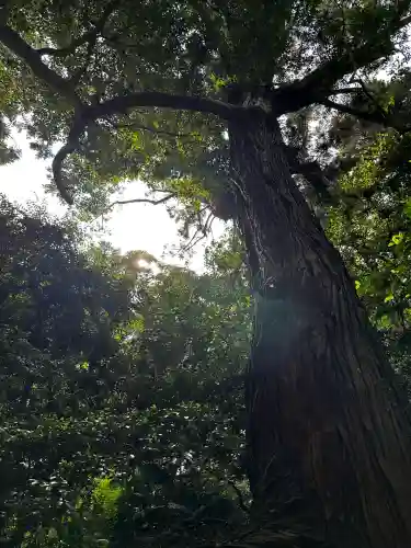 鹿島神宮(茨城県)
