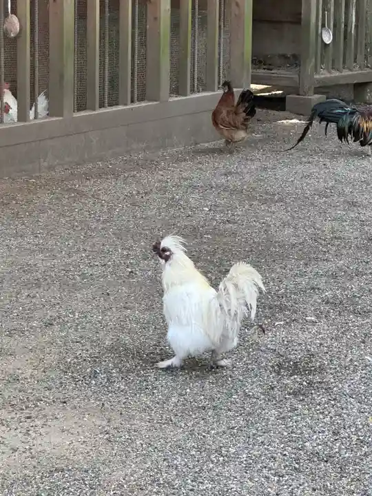 石上神宮(奈良県)