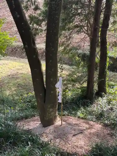 出雲路幸神社の{uncategorized: "未分類", other: "その他", undefined: "問題あり", building: "その他建物", grave: "お墓", sacred_gate: "鳥居", guardian: "狛犬", statue: "像", buddha: "仏像", history: "歴史", nature: "自然", garden: "庭園", animal: "動物", pagoda: "塔", temizu: "手水舎", mountain_gate: "山門・神門", sanctuary: "本殿・本堂", subordinate: "末社・摂社", art: "芸術", scenery: "景色", jizo: "地蔵", ema: "絵馬", goshuin: "御朱印", omikuji: "おみくじ", items: "授与品その他", amulet: "お守り", goshuincho: "御朱印帳", eats: "食事", festival: "お祭り", votive_dance: "神楽", shichigosan: "七五三参", wedding: "結婚式", experience: "体験その他", initially: "初詣", around: "周辺", anti_infection: "感染症対策"}
