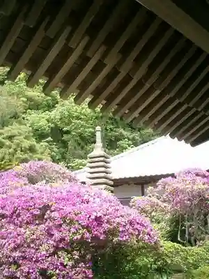 安養院　(田代寺）の塔