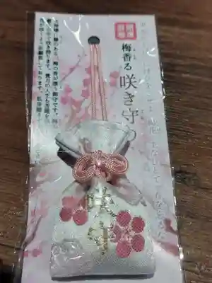 大阪天満宮(大阪府)