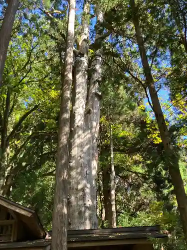 神坂神社(長野県)
