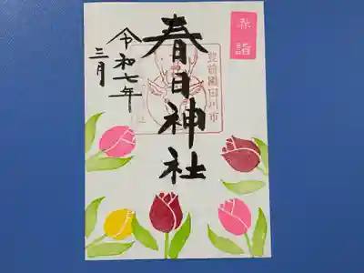 チューリップ（片面）