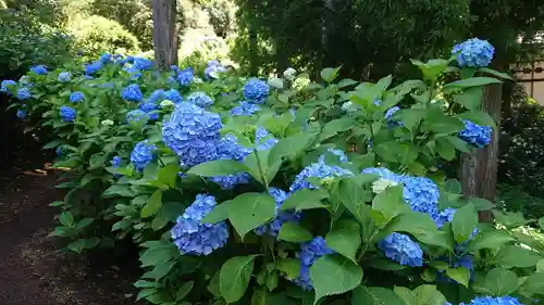高林寺(福島県)