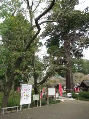 六地蔵寺(茨城県)