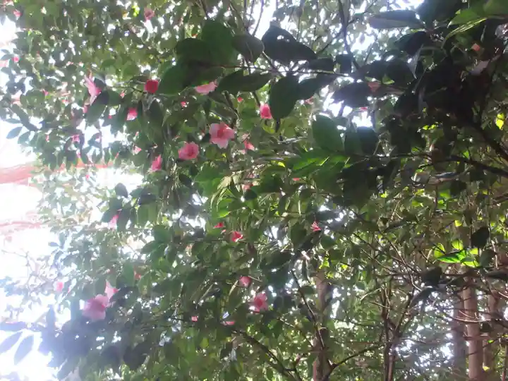 王子神社の自然