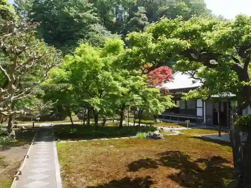 長壽寺（長寿寺）の庭園