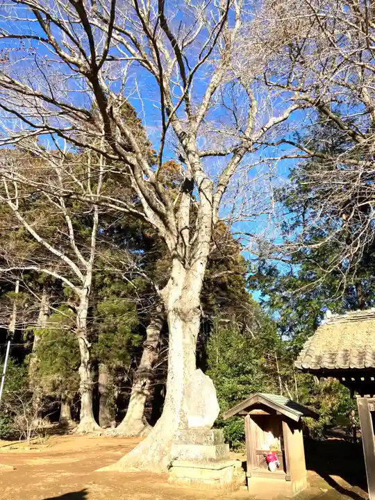 逢善寺(茨城県)