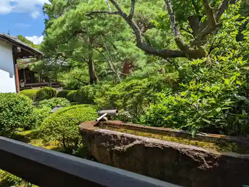 青蓮院門跡(京都府)