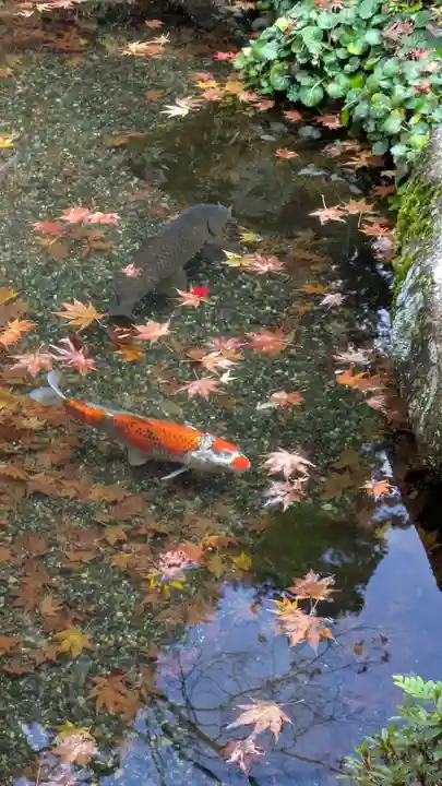 寂光院(京都府)