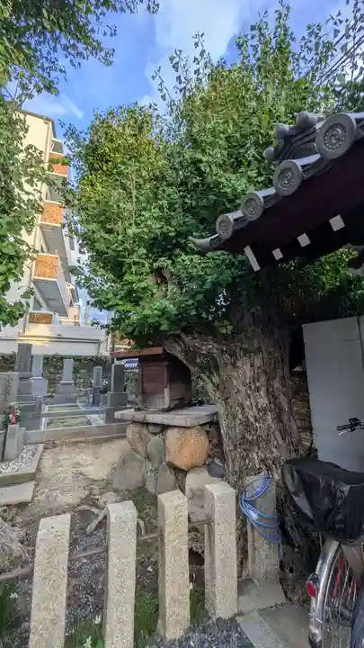 観音寺(大阪府)