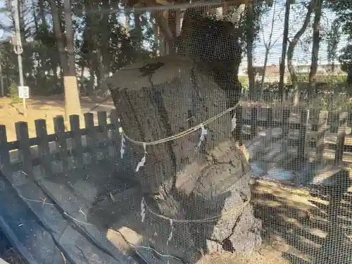 生品神社(群馬県)