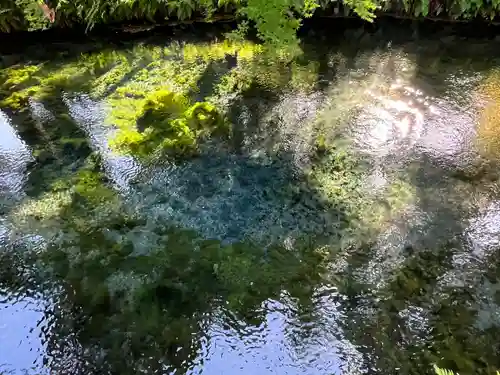 白川吉見神社の庭園