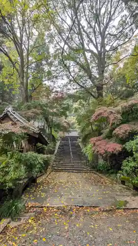 椎尾神社(大阪府)