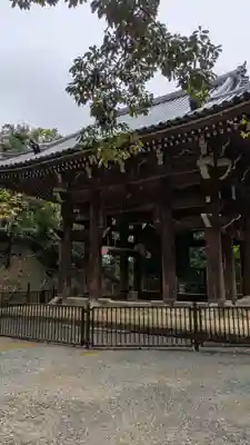 知恩院(京都府)