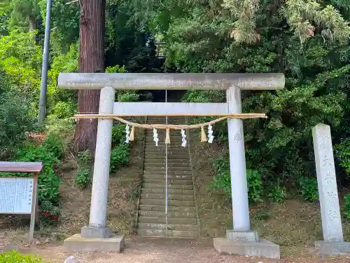 大井神社の鳥居