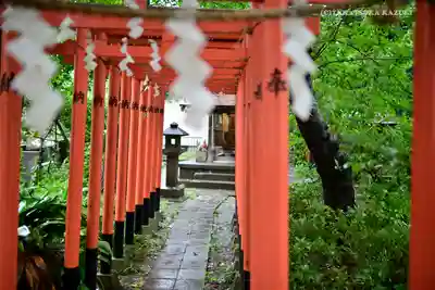 若宮八幡宮 の鳥居