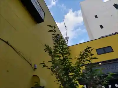 櫻株稲荷神社(水戸屋稲荷)の自然