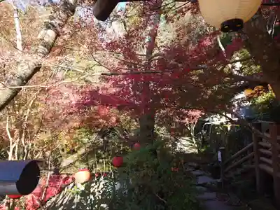 山賊魂稲成神社(山口県)