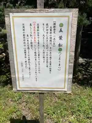 玉前神社(千葉県)