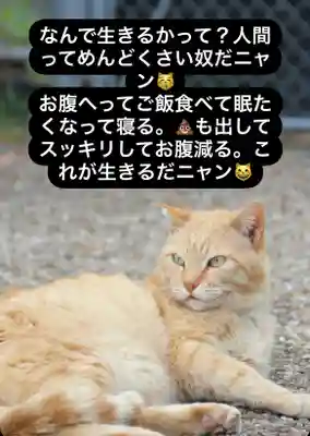 専念寺(大阪府)