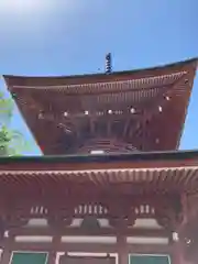 慈尊院(和歌山県)