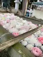 立志神社(滋賀県)