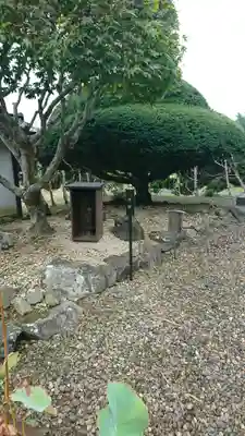 福田寺の自然
