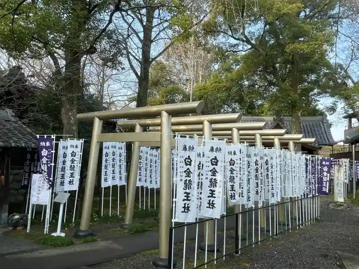 白金龍王社(愛知県)