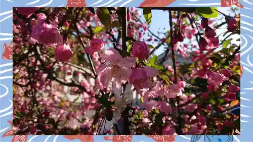 赤羽八幡神社(東京都)