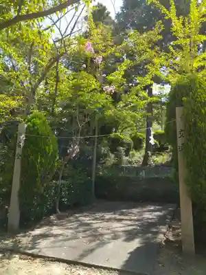 木華佐久耶比咩神社のその他建物