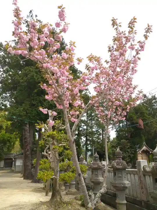 由加神社(和気由加神社)の自然