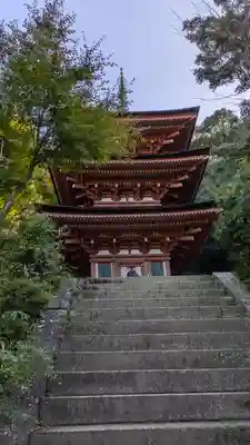 浄瑠璃寺(京都府)