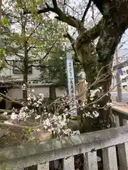 一色稲荷神社(京都府)