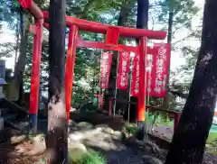 開運招福 飯玉神社(群馬県)